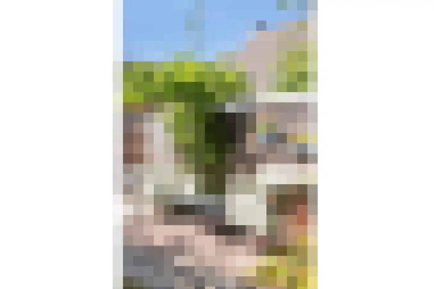 Lynnerkamp 15 Zwolle thumbnail 17