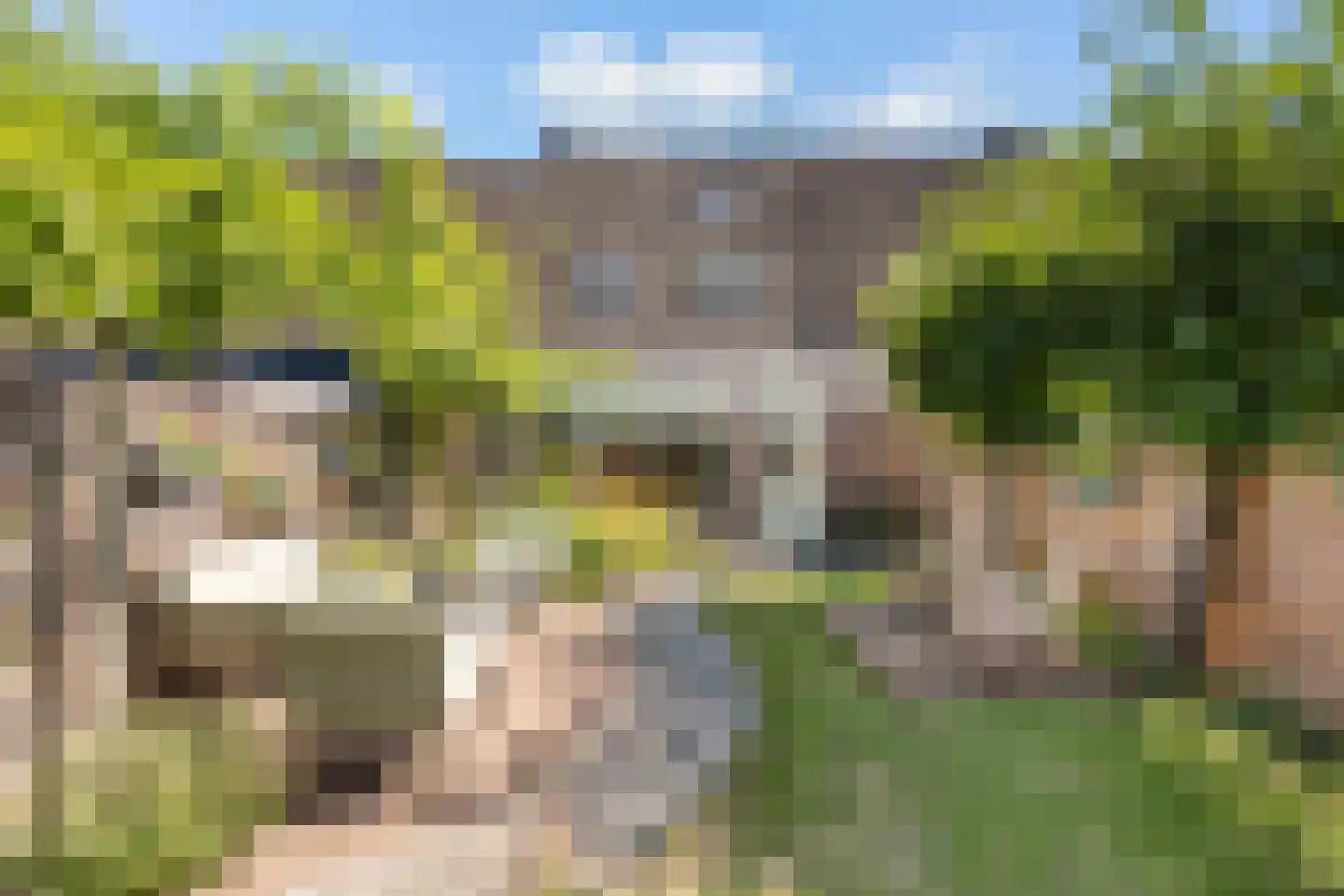 Lynnerkamp 15 Zwolle thumbnail 19