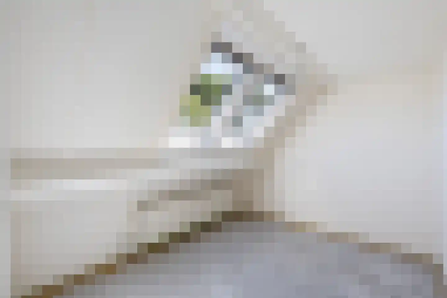 Lynnerkamp 15 Zwolle thumbnail 29