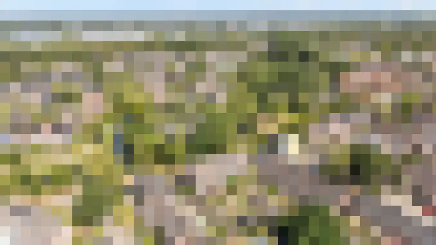Lynnerkamp 15 Zwolle thumbnail 31