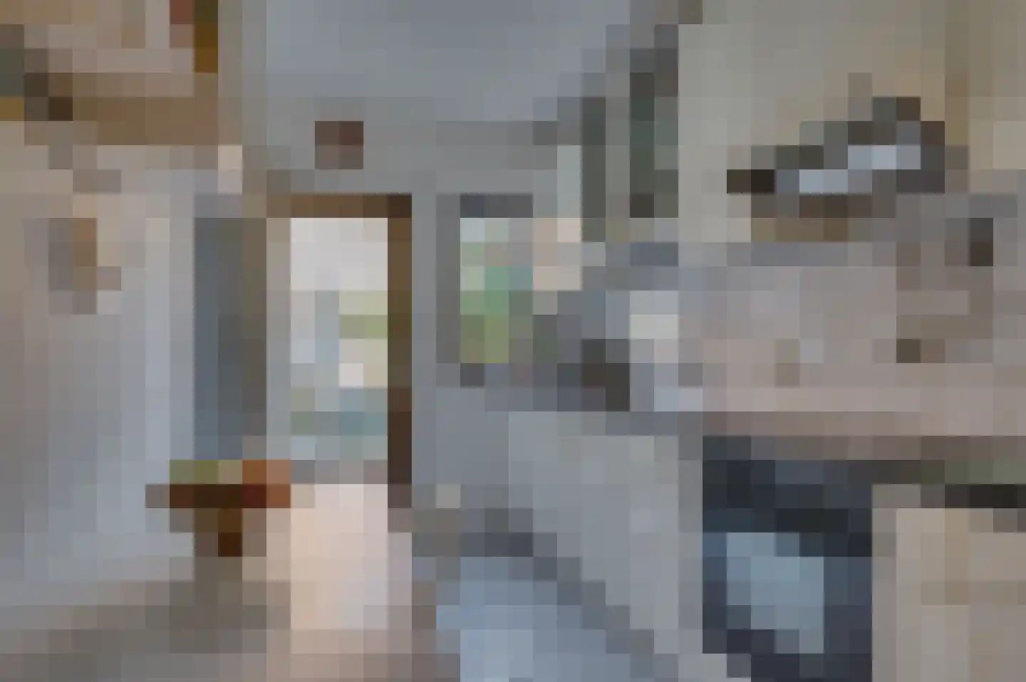 Lynssenstraat 24 Venlo thumbnail 12