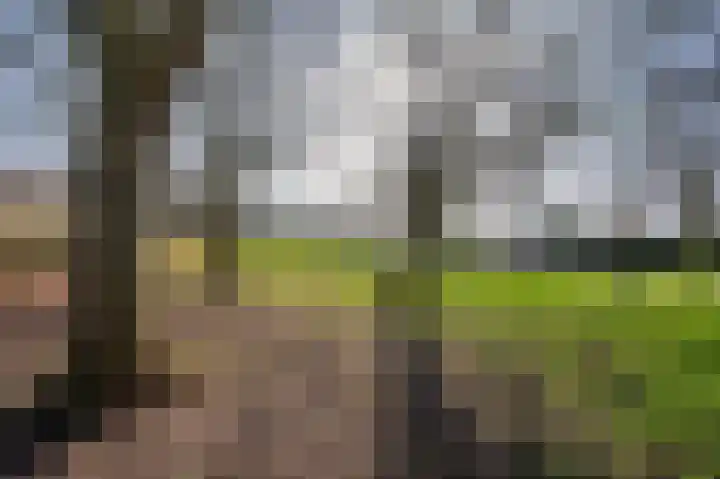 Lynssenstraat 24 Venlo thumbnail 38