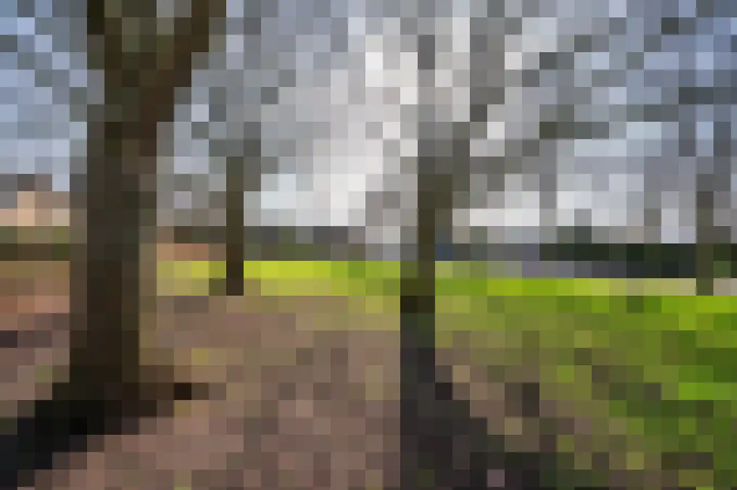 Lynssenstraat 24 Venlo thumbnail 38