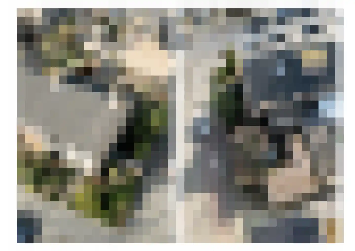 Lynssenstraat 24 Venlo thumbnail 39