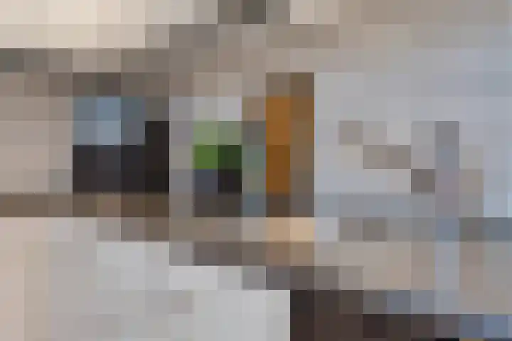 Lynssenstraat 26 Venlo thumbnail 15