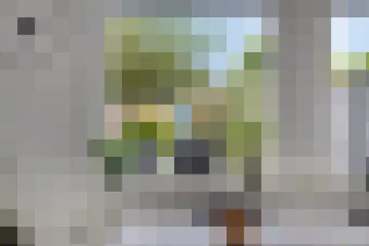 Lyonhof 27 Eindhoven thumbnail 15