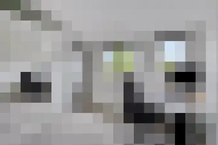 Lyonhof 27 Eindhoven thumbnail 21