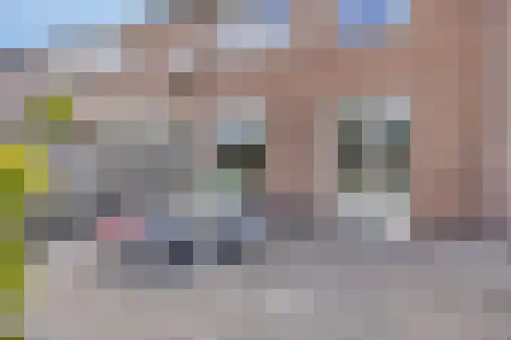 Lyonhof 27 Eindhoven thumbnail 26