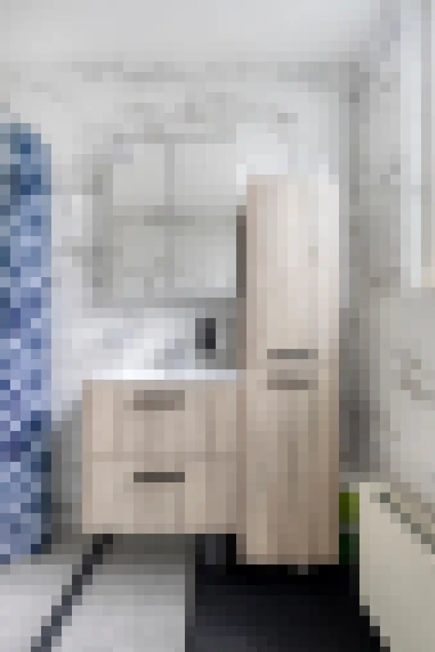 Lyonnetstraat 13 Den Haag thumbnail 18