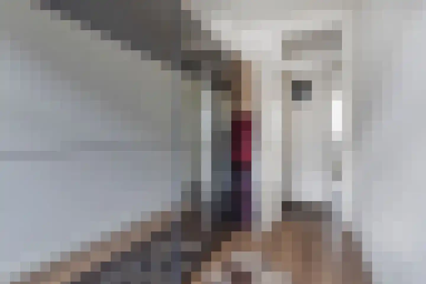 Lyonnetstraat 13 Den Haag thumbnail 21
