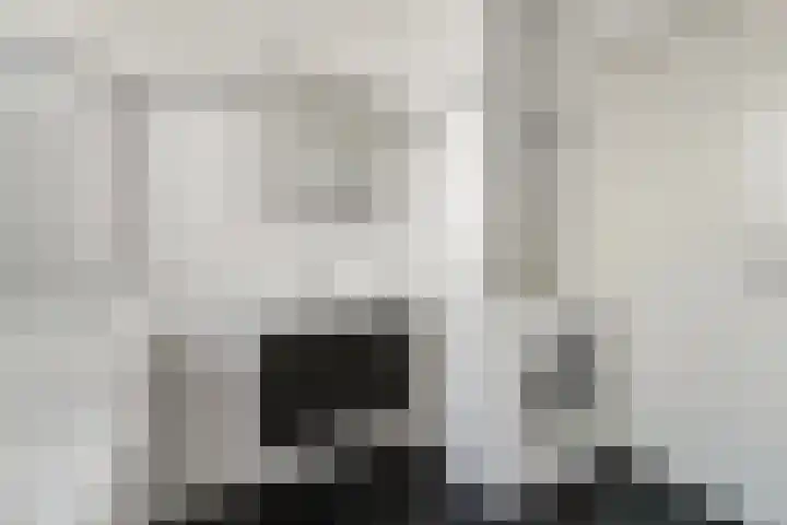 Lyonnetstraat 21 Den Haag thumbnail 20