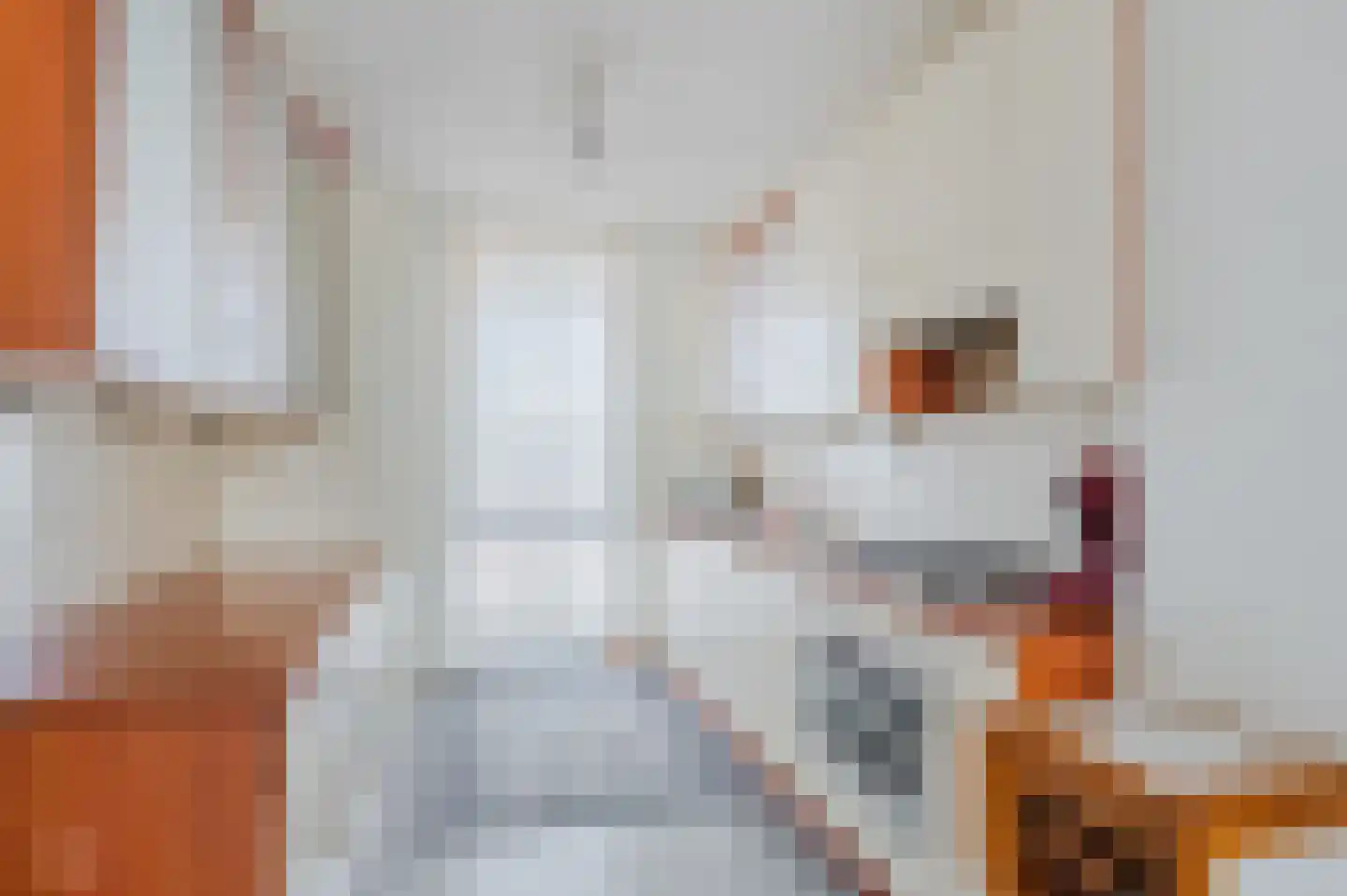 Lyonnetstraat 5 D Den Haag thumbnail 9