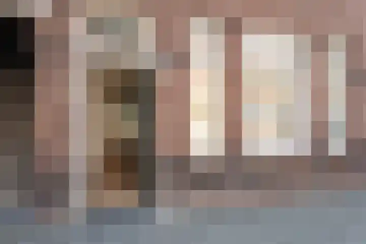 Lyonnetstraat 50 Den Haag thumbnail 4