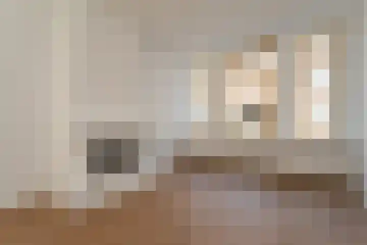 Lyonnetstraat 50 Den Haag thumbnail 7