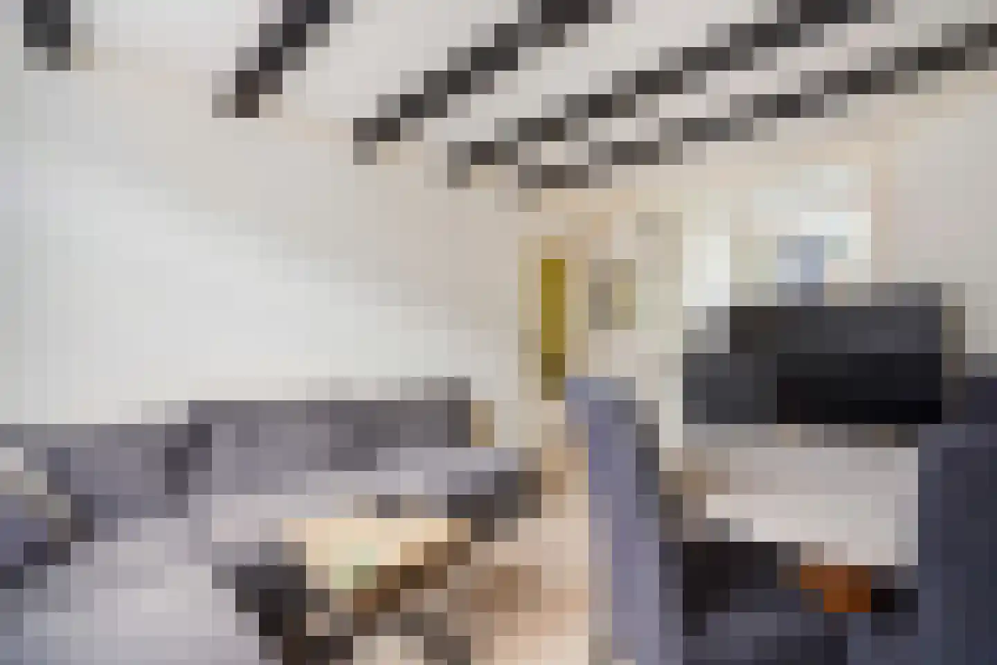 Lyonnetstraat 77 Den Haag thumbnail 14