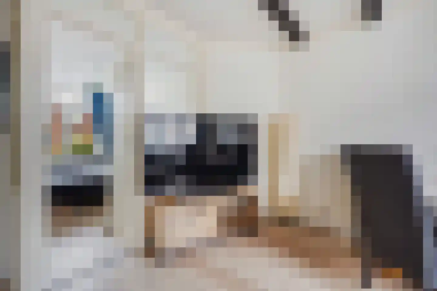 Lyonnetstraat 77 Den Haag thumbnail 15