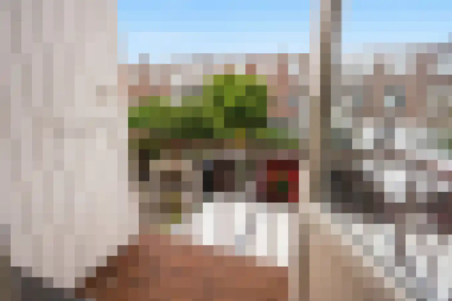 Lyonnetstraat 77 Den Haag thumbnail 17