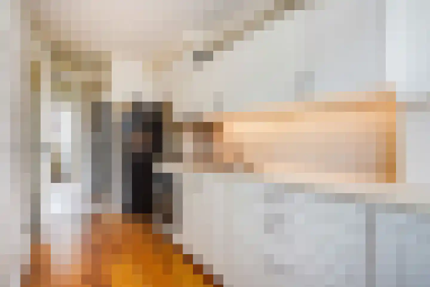 Lyonnetstraat 77 Den Haag thumbnail 20