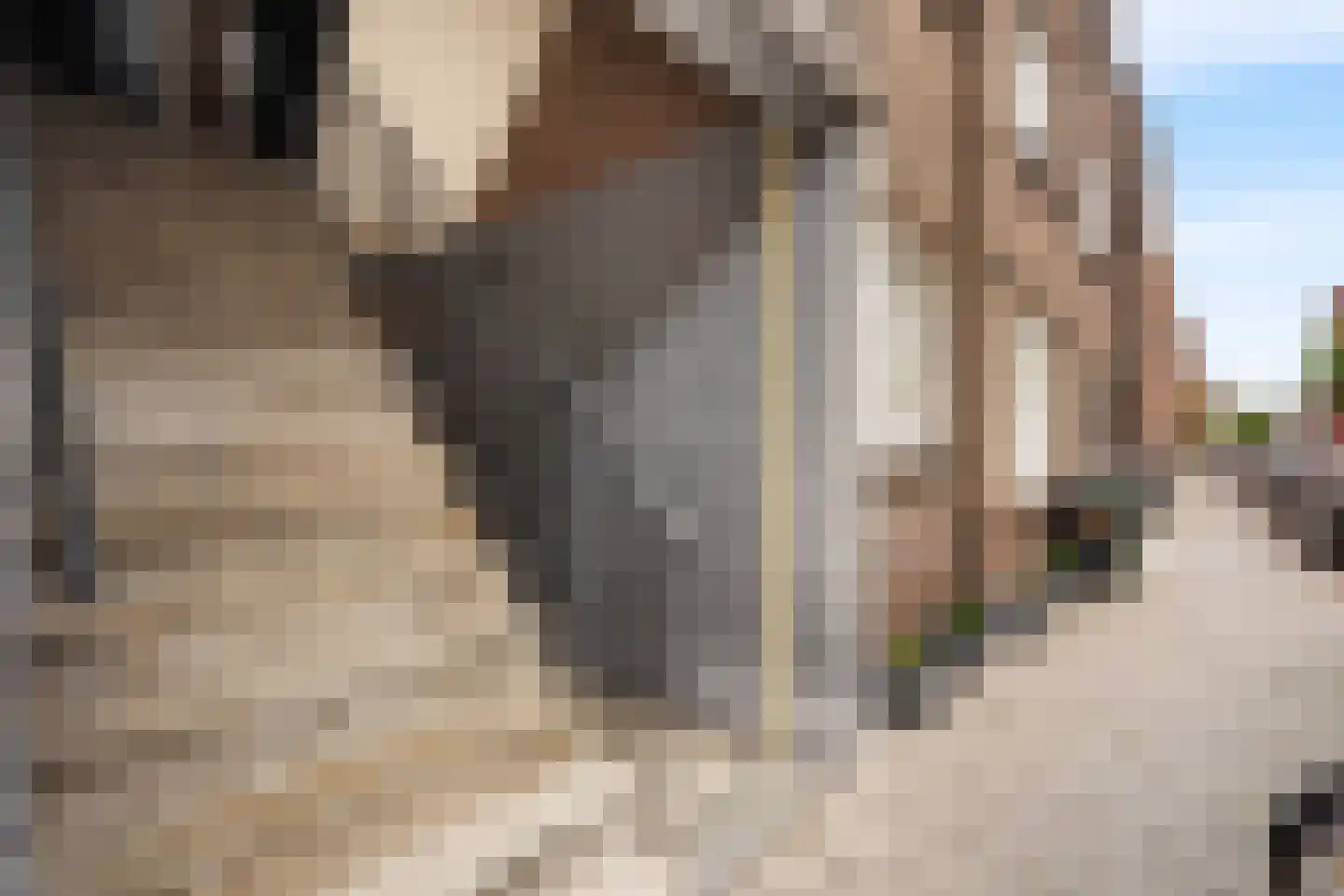 Lyonnetstraat 77 Den Haag thumbnail 9