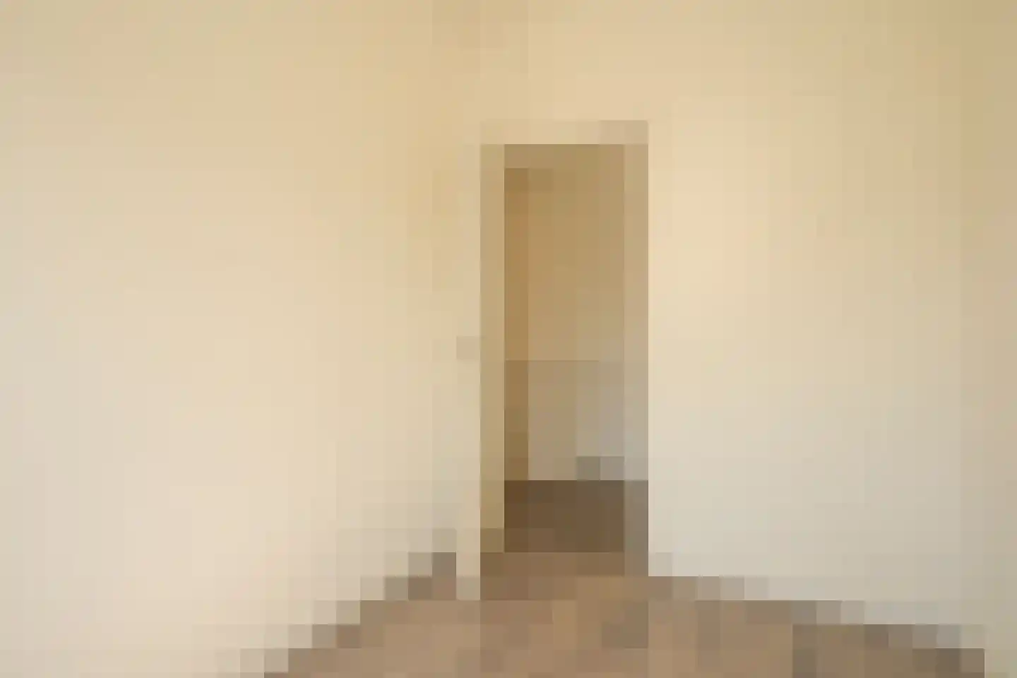 Lyonnetstraat 80 Den Haag thumbnail 22