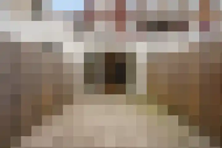 Lyonnetstraat 9 D Den Haag thumbnail 11