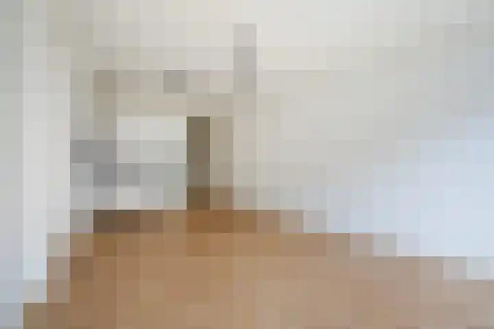 Lyonnetstraat 9 D Den Haag thumbnail 15
