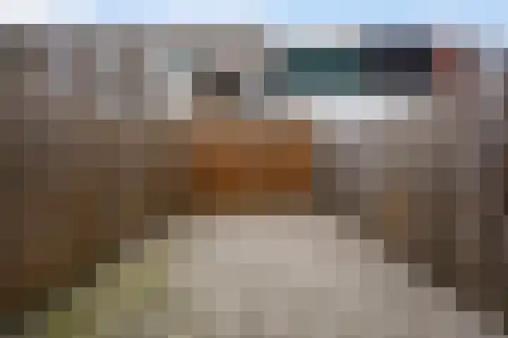 Lyonnetstraat 9 D Den Haag thumbnail 7