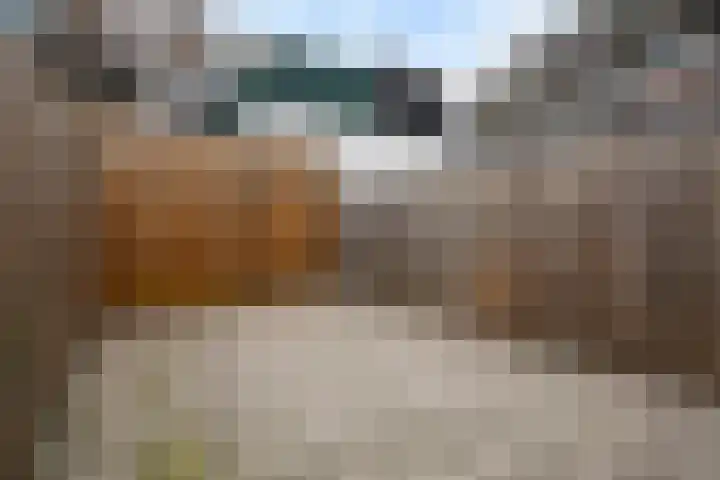 Lyonnetstraat 9 D Den Haag thumbnail 8