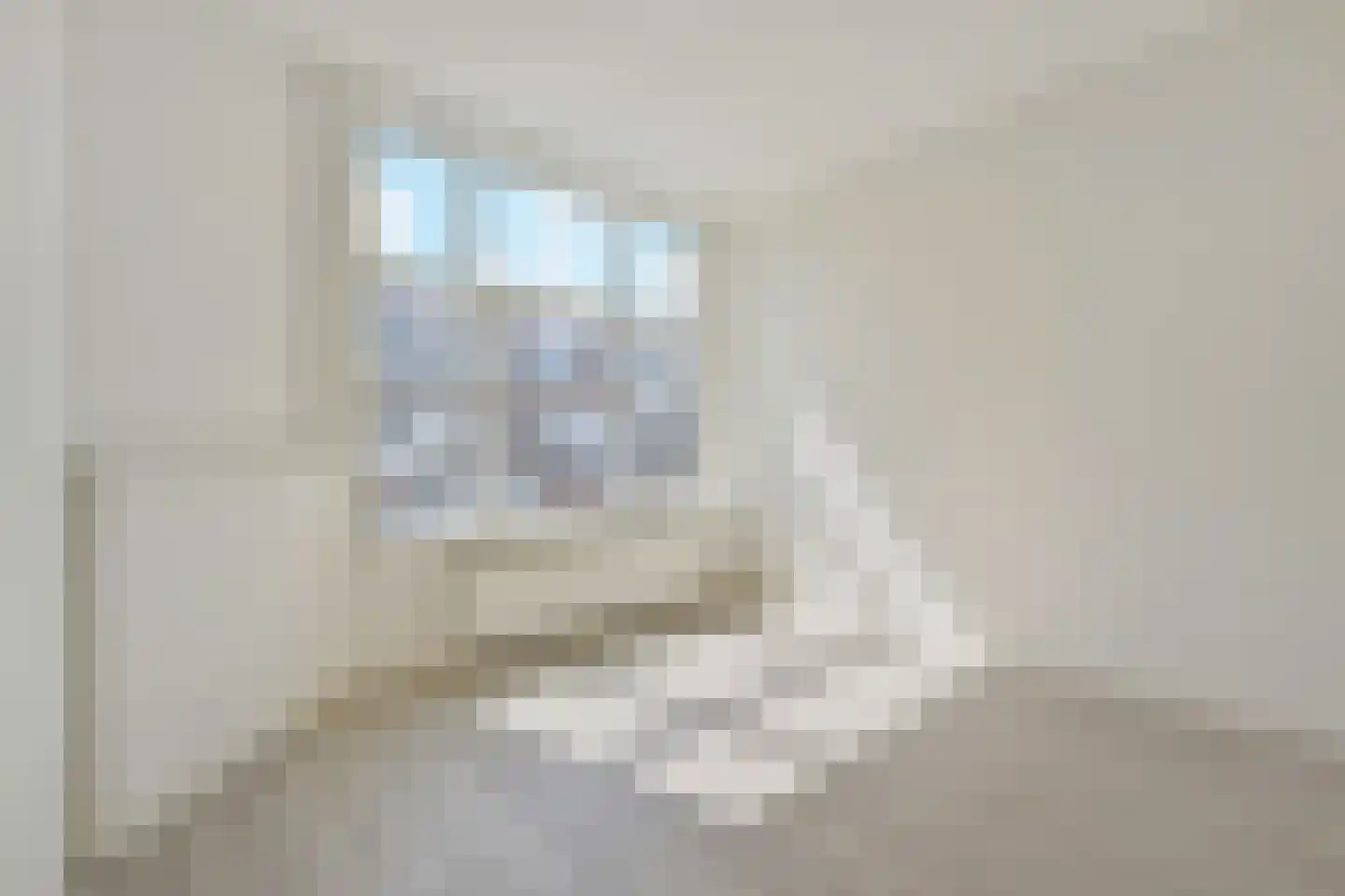Lyonnetstraat 96 Den Haag thumbnail 17