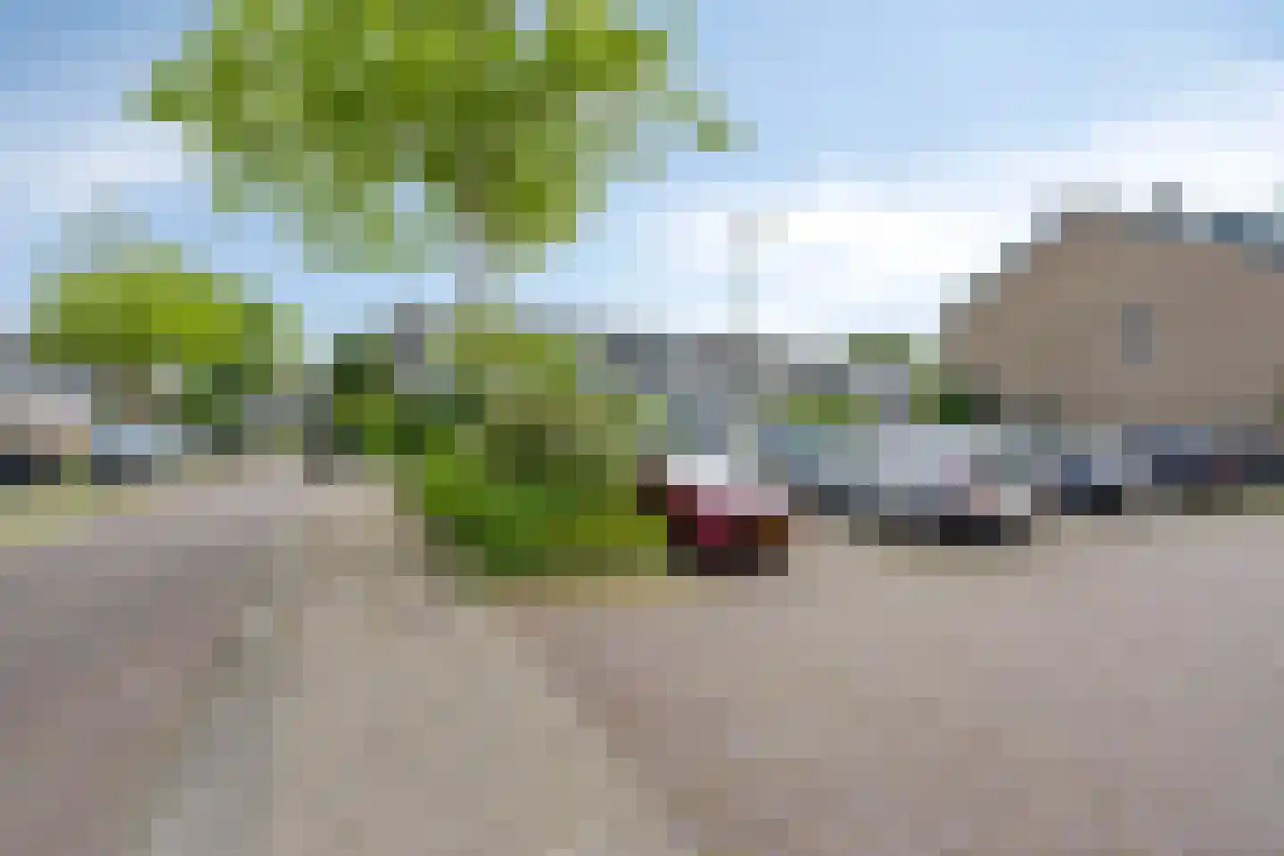 Lyra 100 Dordrecht thumbnail 31