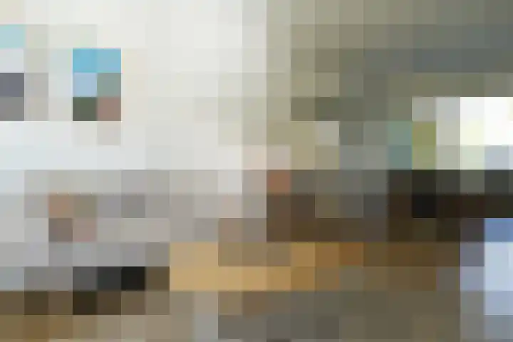 Lyra 2 Loon op Zand thumbnail 10