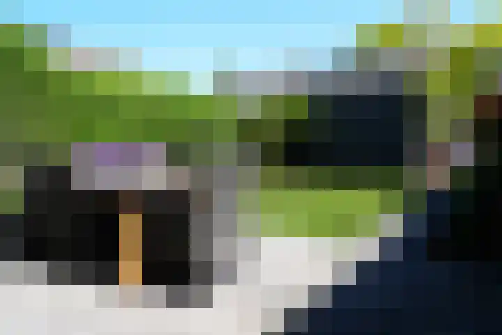 Lyra 2 Loon op Zand thumbnail 47