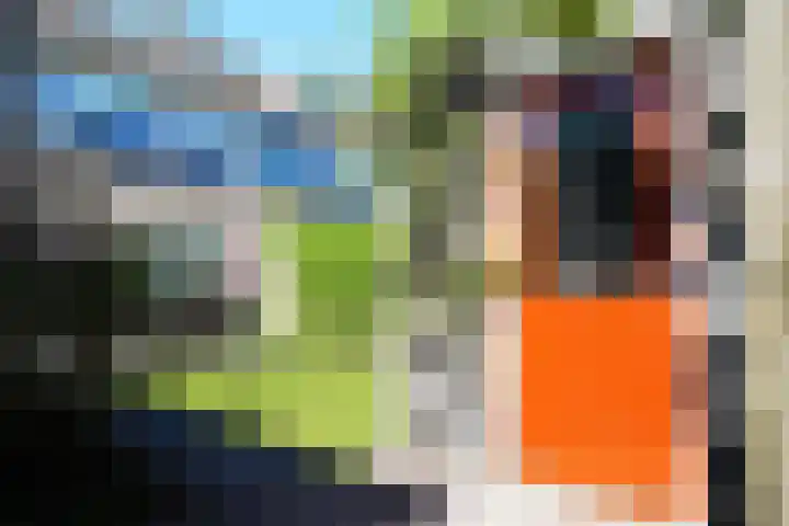 Lyra 2 Loon op Zand thumbnail 48