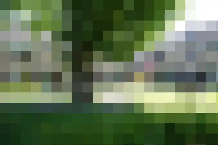 Lyra 2 Loon op Zand thumbnail 51