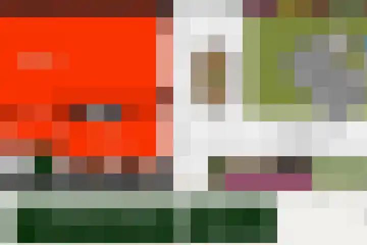 Lyra 2 Loon op Zand thumbnail 55