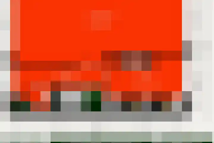 Lyra 2 Loon op Zand thumbnail 61