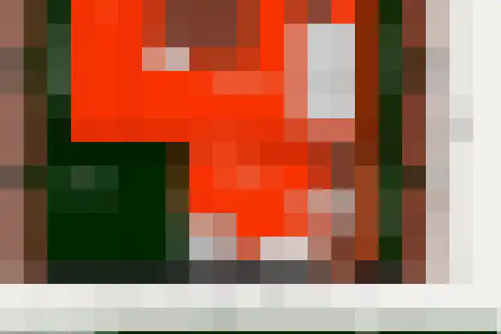 Lyra 2 Loon op Zand thumbnail 73