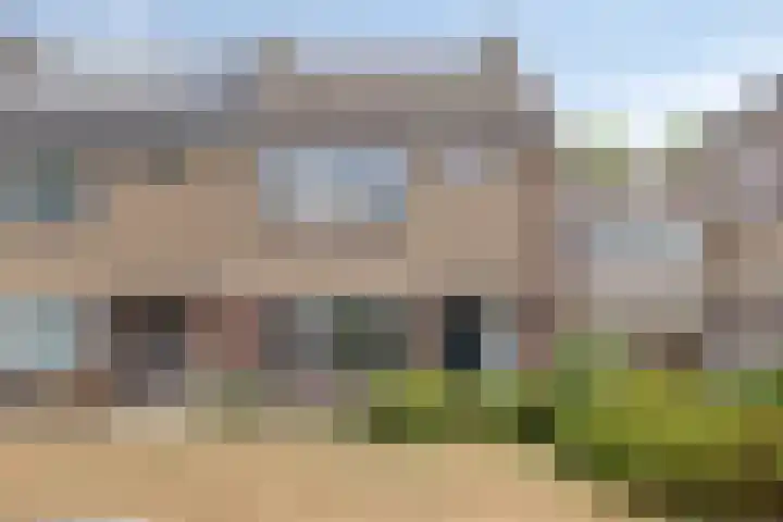 Lyra 4 Loon op Zand