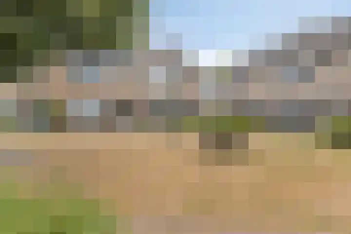 Lyra 4 Loon op Zand thumbnail 32