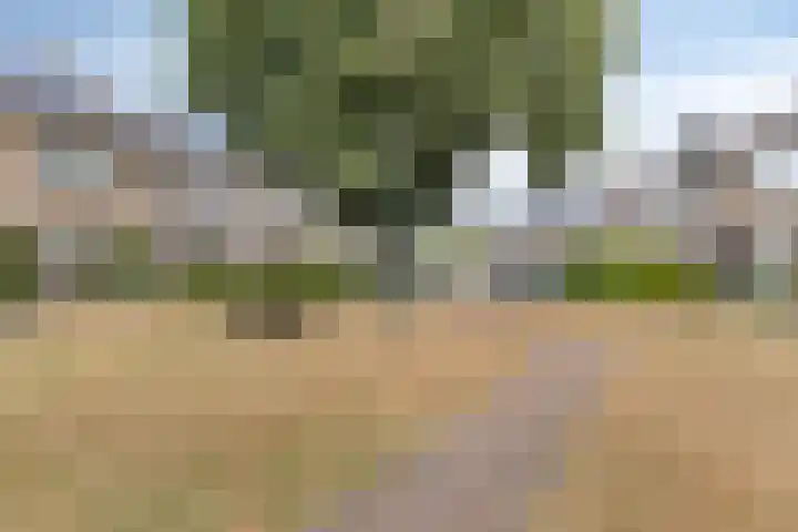 Lyra 4 Loon op Zand thumbnail 33