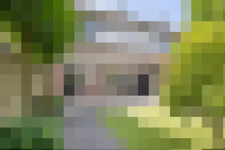 Lyra 4 Loon op Zand thumbnail 5