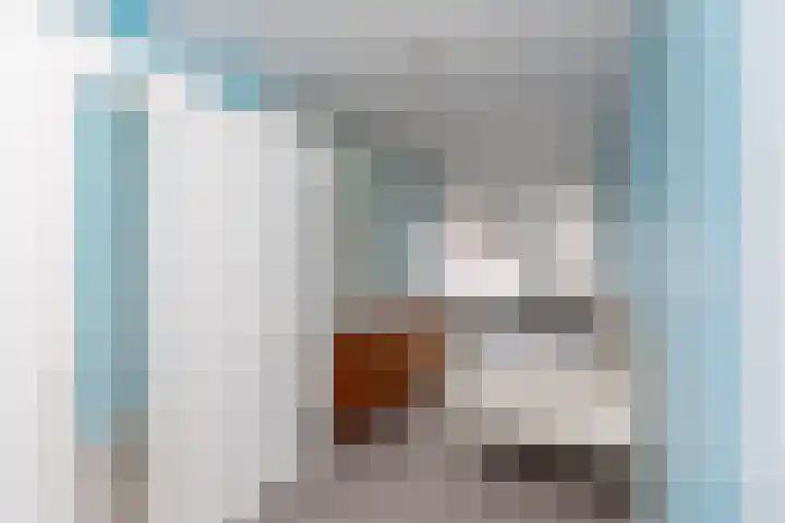 Lyra 40 Dordrecht thumbnail 19