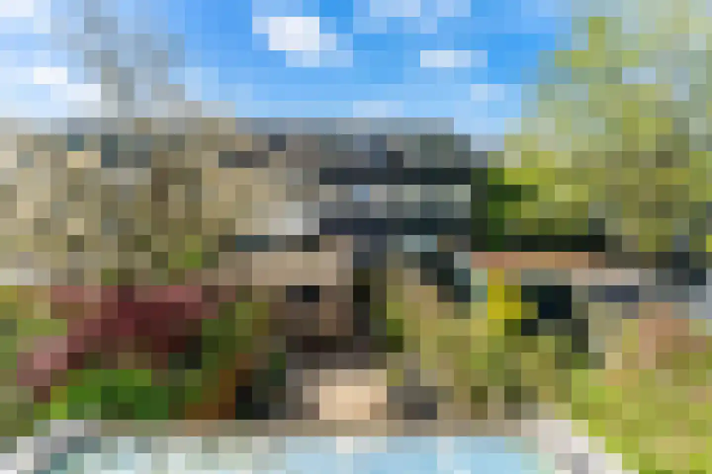 Lyra 5 Dordrecht thumbnail 33
