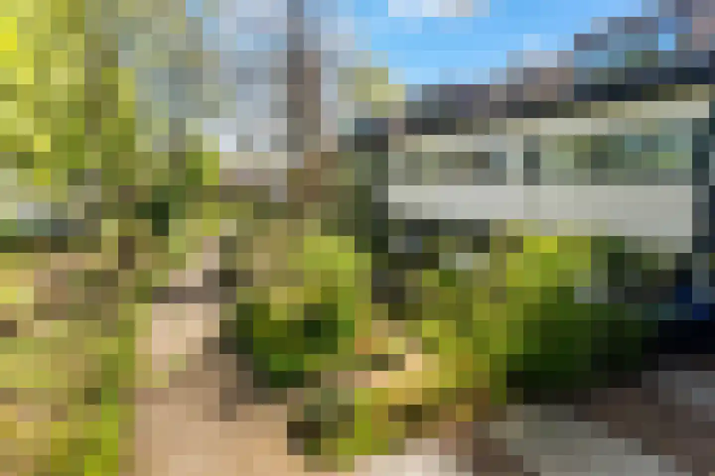 Lyra 5 Dordrecht thumbnail 5