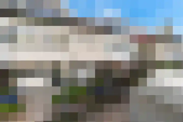 Lyra 99 Dordrecht thumbnail 7