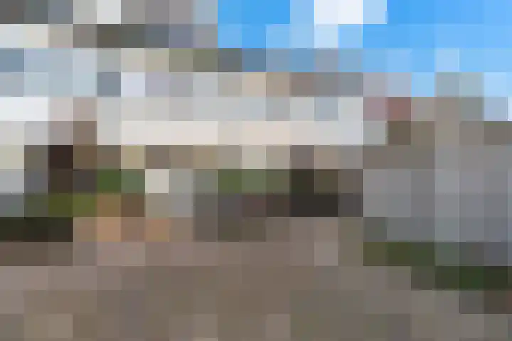 Lyra 99 Dordrecht thumbnail 8