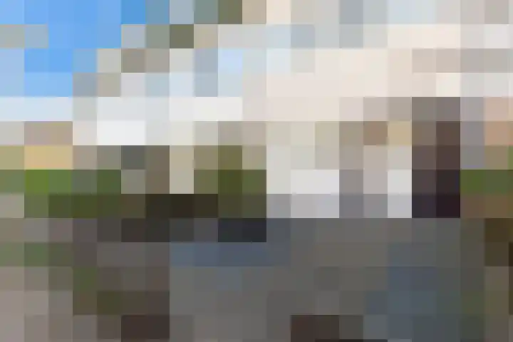 Lyra 99 Dordrecht thumbnail 9