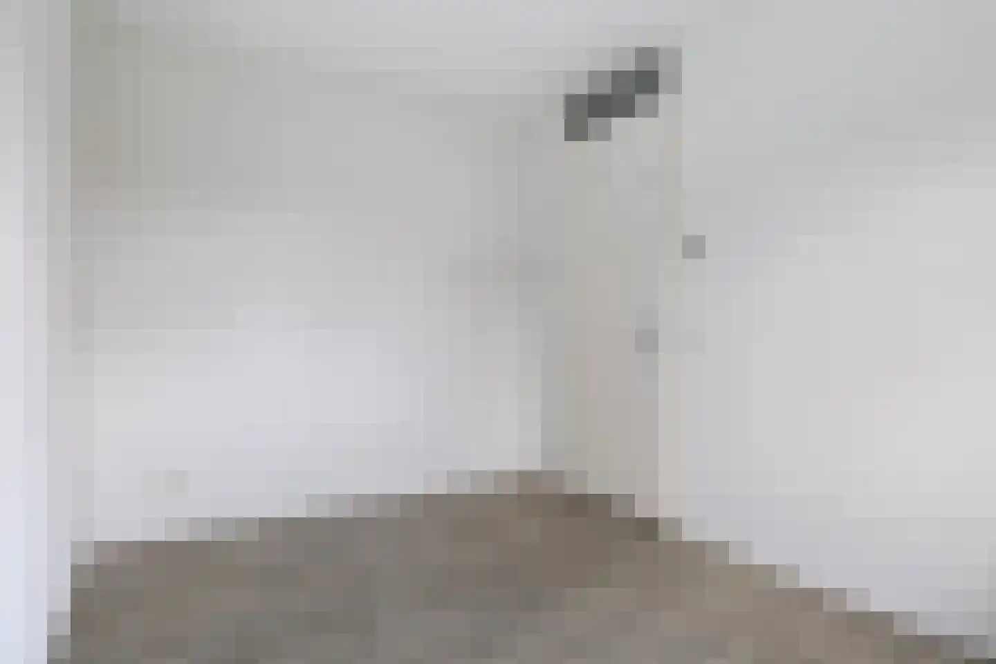 Lysterbeipaad 5 Stiens thumbnail 19