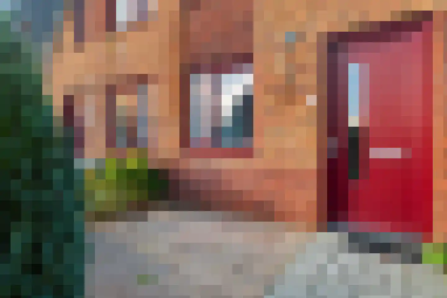 Lysterbeipaad 5 Stiens thumbnail 33