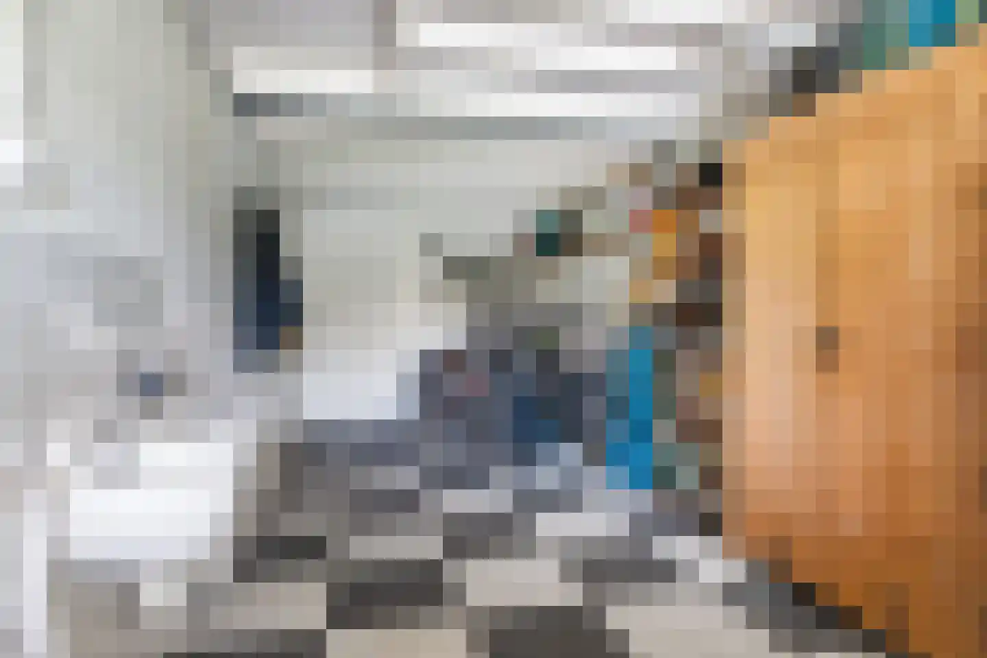 Lyts Blijema 12 Grou thumbnail 17